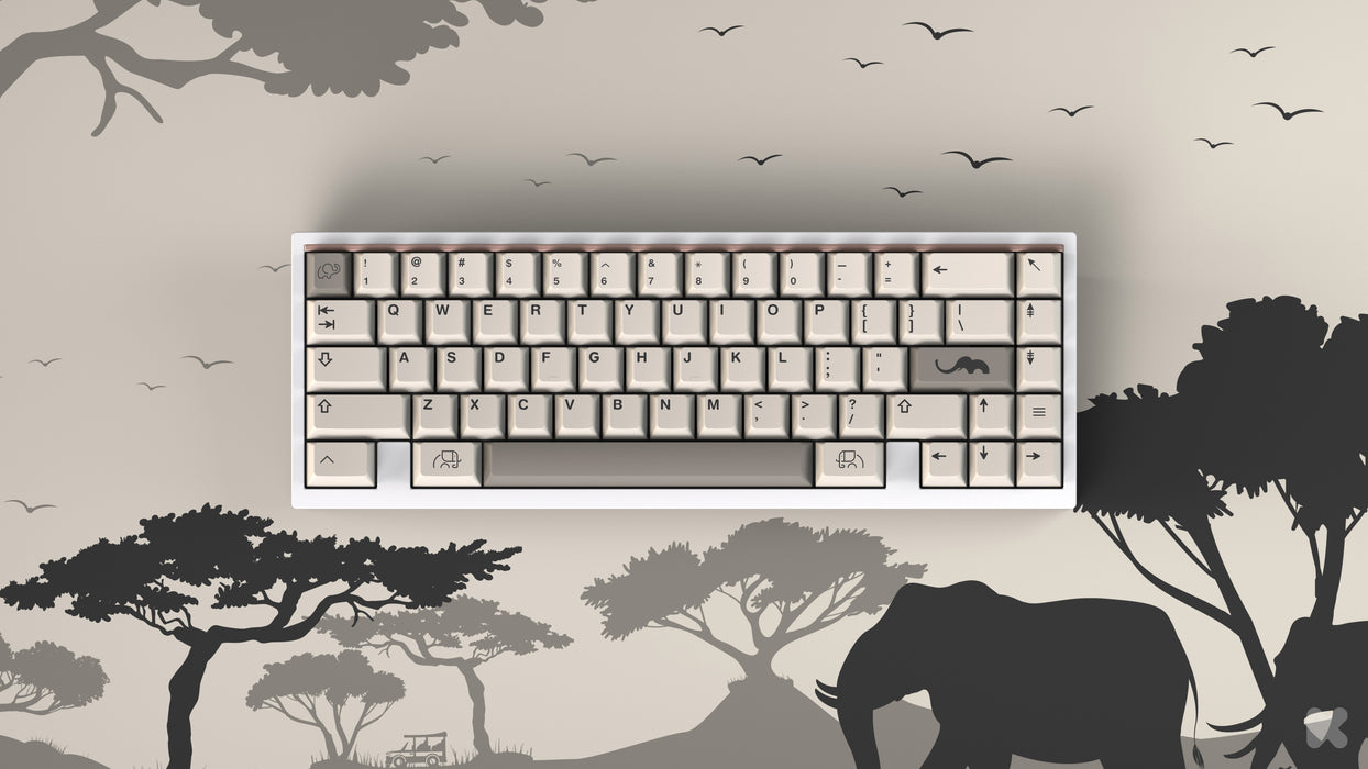 EPBT Ivory