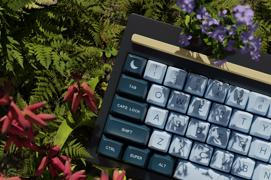 SA Nightlight