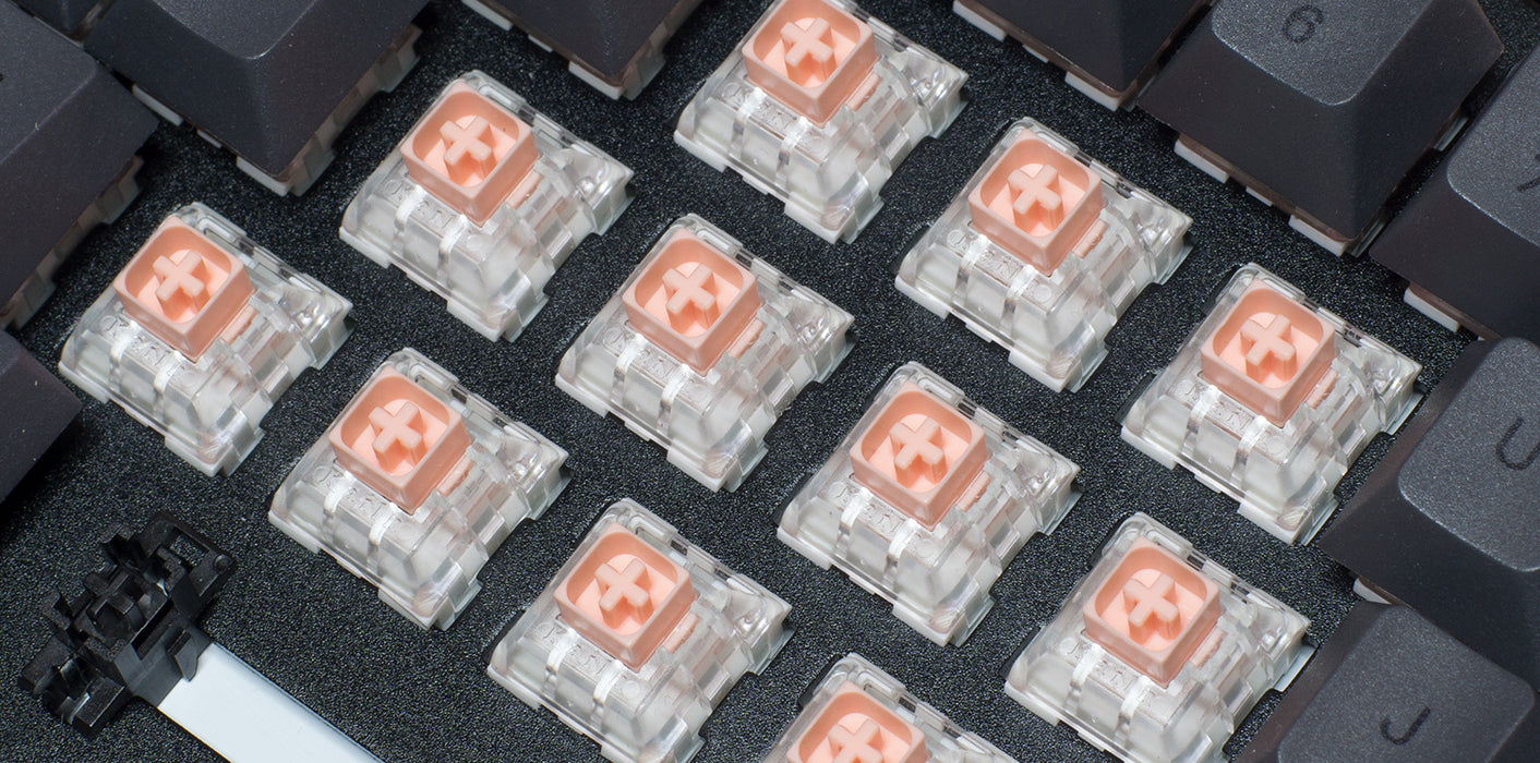 Hako True Switches (10 ct.)