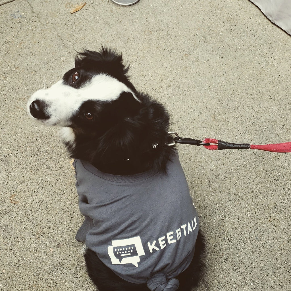 Keebtalk Logo on an Australian Shepherd named Meri Truffle