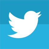 Twitter Button - Kono Store