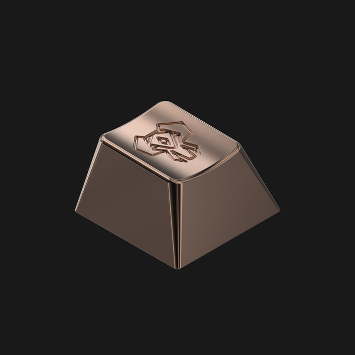 EPBT Ivory