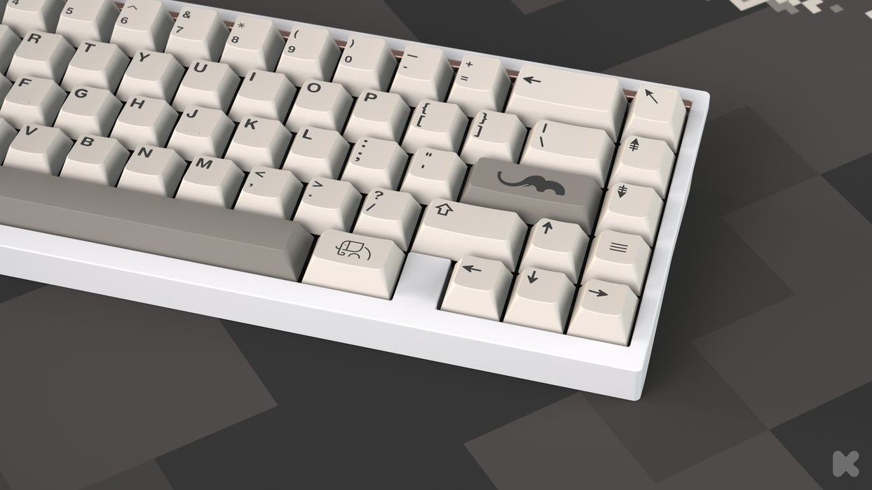 EPBT Ivory