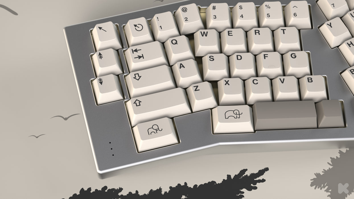 EPBT Ivory